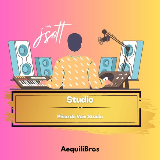Studio d’Enregistrement (Prise de Voix Studio)