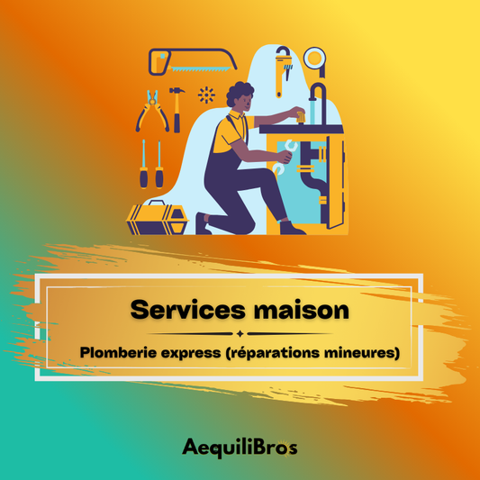 Services maison (Plomberie express ,réparations mineures)